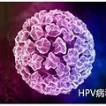 HPV̨ݿԴ֪Ķ_4