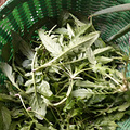 野菜炒年糕
