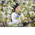 花间梦，青袖香_0