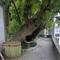 【旅游日记No.24】+两岸三度度假村_2