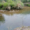 【旅游日记No.24】+两岸三度度假村_5