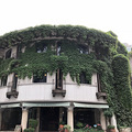 《旅游日记No.24》用骑行丈量宁波_1