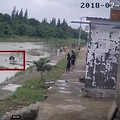 汽车掉入湍急河流，危急时刻，这3个"新台州人"跳入河中…_5