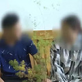 新婚妻子肚子上竟有剖腹产痕迹 报警后才知真相…