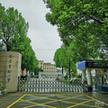 惊呆！黄岩实验小学大门口的校名竟是这位10岁的小孩写的。_0