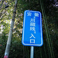 国庆自驾浙晥最美景色_4
