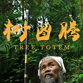 编剧是温岭人！《树图腾》获“第六届亚洲微电影艺术节金海棠奖”_5