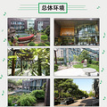 广东广州音乐高考培训课程_2