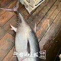 温岭人好运爆棚！今天东海又得宝贝，这么大的东东实属罕见_1