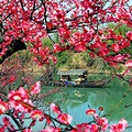 今年春节，一起出发去旅行！超赞线路给你不一样的年味_4