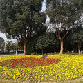 临海市综合行政执法局助力春节氛围营造，让春节更出“色”_4