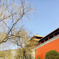 东北行 三  哈尔滨 北京_1