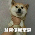 三孩政策要来了？台州人，给你100万，你敢生吗？_5