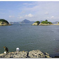 温岭 沙镬岛 2天一夜自由行，3月17日出发，有同去的么？_3