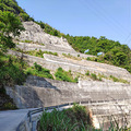 在黄仙交界的周家寮、金坑、大邵、五部半山中骑驴_0