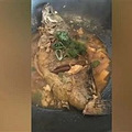 高三没时间打游戏，妈妈"代练"保级_2