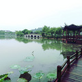 【旅游日记No.34】+白鹭洲与蝴蝶岛_4