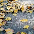 丈夫瘫痪，女子打算离婚后带着他再嫁人…法院这样判_2