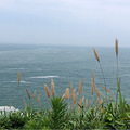 无大海 不夏天_1