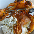 三门青蟹