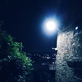 静夜东沙影随行_1