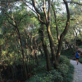 东山公园_0
