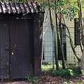 东山公园_1