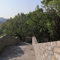 东山公园_5