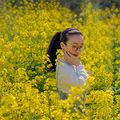 清风徐来，油菜花开_1