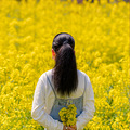 清风徐来，油菜花开_5