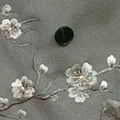 花满衣_4