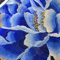 花满衣_1