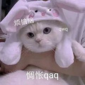 八款火爆美妆圈的粉底液实测，新晋“油皮亲妈奖”花落谁家？_4