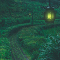 打卡温岭植物园_5