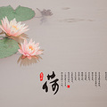 打卡温岭植物园_2