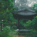 打卡温岭植物园_0