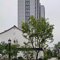 【台州】组团小区-2020 -永宁江-景_2