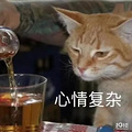 谁说的珂润是性价比之王？我看这几款比它好用_2