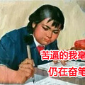 椒江区教育培训行业合同格式条款公开，看清合同少插坑_1