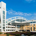 2021年椒江白云小学学区划分