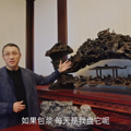 七千万装修，1棵树价值百万！爆火的最贵法拍房，主人干什么的_5