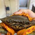 三门青蟹的自由_3