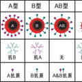 孩子血型与父母都不同，是亲生的吗？_1