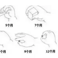 0-12个月宝宝精细动作训练大全，宝宝越练越聪明！_4
