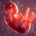 怀孕能提高免疫力？我们整理了一些大部分孕妈不知道的孕期「冷」