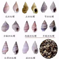 台州有人偷卖！多地预警！这个别吃，别买_3