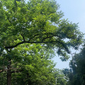 青岛自驾游 学生党的穷游之旅_3