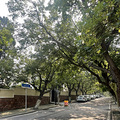 青岛自驾游 学生党的穷游之旅_2