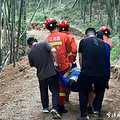 出游时注意！浙江一地3天已发生10余起_0