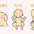 胎宝偏小一周，我是不是该抓紧补起来